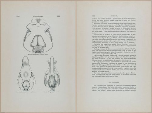 E366 - US Geological Survey - 1885 - 14603-14604