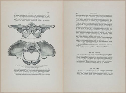 E366 - US Geological Survey - 1885 - 14607-14608
