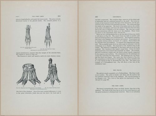 E366 - US Geological Survey - 1885 - 14609-14610