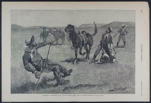 E392 - Harper_s Weekly folio pages - i17940