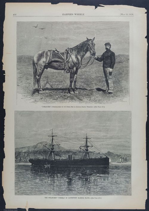 E392 - Harper_s Weekly folio pages - i17946