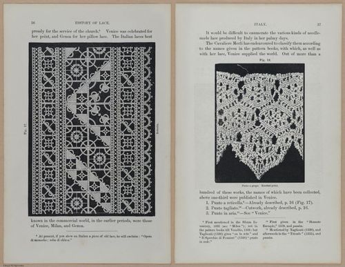 E359 - A History of Lace 1875 - 13670 - 13671