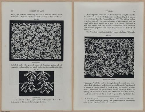 E359 - A History of Lace 1875 - 13676 - 13677
