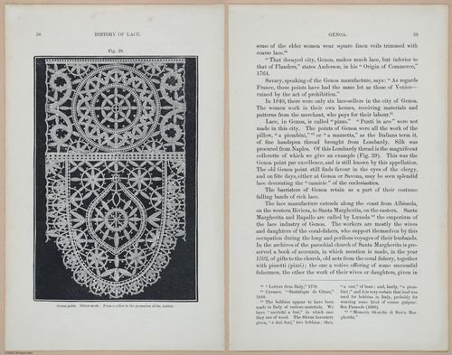 E359 - A History of Lace 1875 - 15096 - 15097