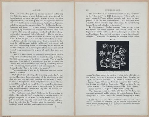 E359 - A History of Lace 1875 - 15210 - 15211