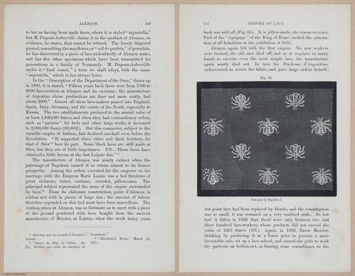 E359 - A History of Lace 1875 - 15308 - 15309