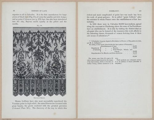 E359 - A History of Lace 1875 - 15337 - 15339