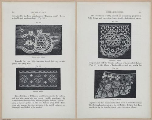 E359 - A History of Lace 1875 - 15495 - 15496