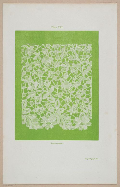 E359 - A History of Lace 1875 - 15512
