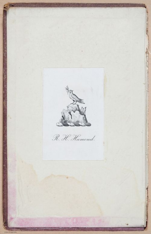 E359 - A History of Lace 1875 - 15606