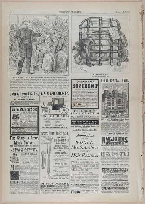 E393 - Harper_s Weekly looses page - i17591
