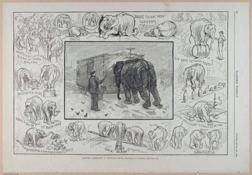 E393 - Harper_s Weekly looses page - i17594