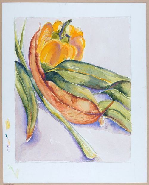 Veggies, Parrott Drive still life,&nbsp;pencil / watercolors