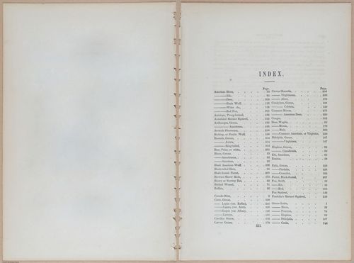 E395 - Breiman Audubon animals - i18453