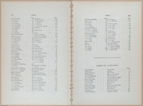 E395 - Breiman Audubon animals - i18454-18455