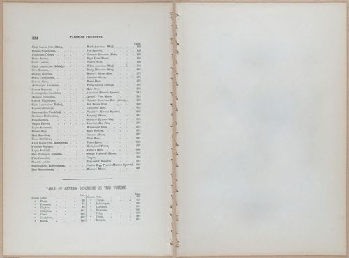 E395 - Breiman Audubon animals - i18456