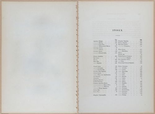 E395 - Breiman Audubon animals - i18457