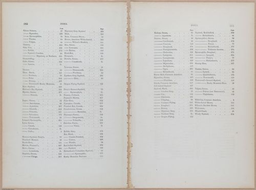 E395 - Breiman Audubon animals - i18458-18459