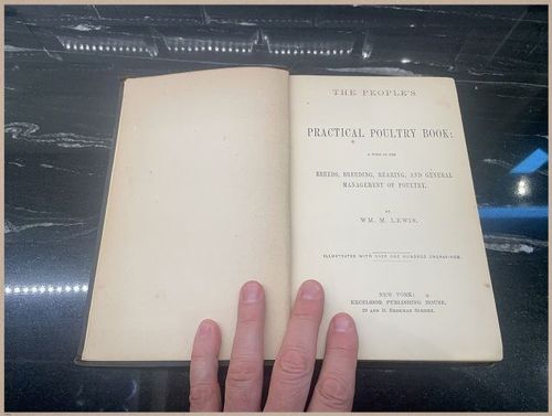 E400 - Practical Poultry Book - 1871 - 3836 (2)