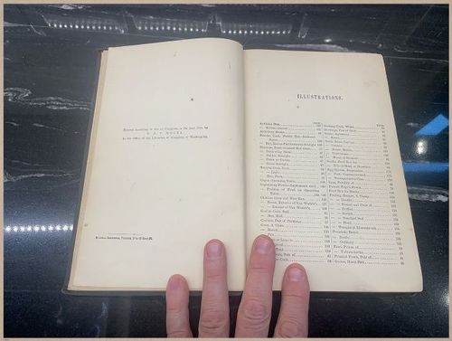 E400 - Practical Poultry Book - 1871 - 3836 (3)