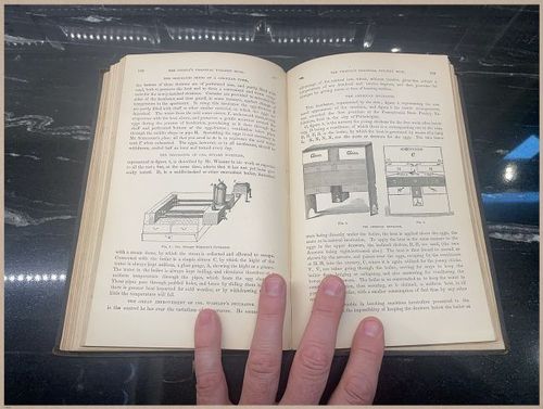 E400 - Practical Poultry Book - 1871 - 3836 (5)