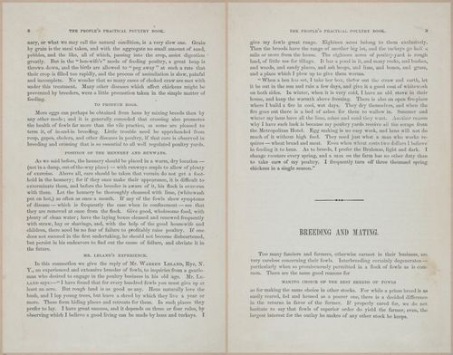 E400 - Practical Poultry Book - 1871 - 16684-16685