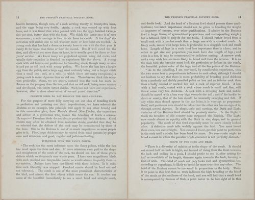 E400 - Practical Poultry Book - 1871 - 16688-16689