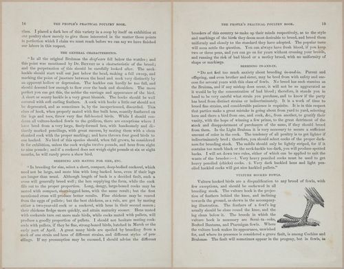 E400 - Practical Poultry Book - 1871 - 16690-16691