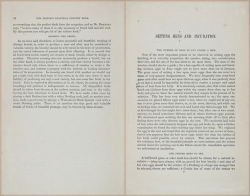 E400 - Practical Poultry Book - 1871 - 16692-16693