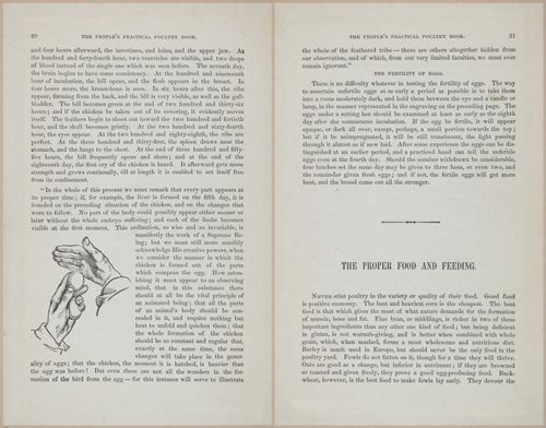 E400 - Practical Poultry Book - 1871 - 16697-16698