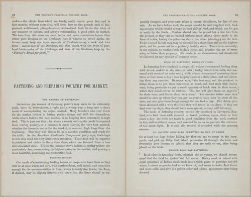 E400 - Practical Poultry Book - 1871 - 16701-16702