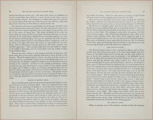 E400 - Practical Poultry Book - 1871 - 17078-17079