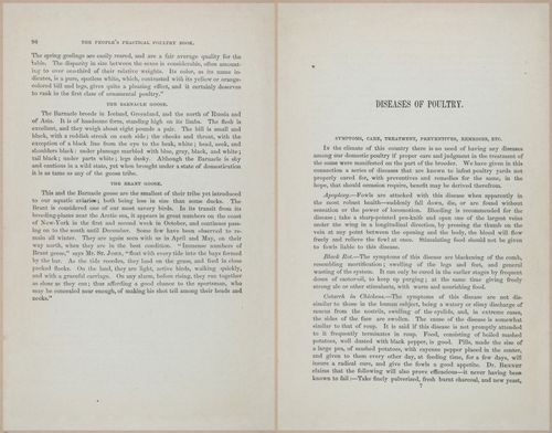 E400 - Practical Poultry Book - 1871 - 17082-17083