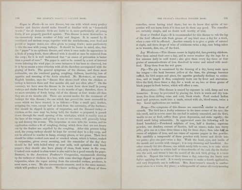 E400 - Practical Poultry Book - 1871 - 17086-17087