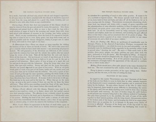 E400 - Practical Poultry Book - 1871 - 17088-17089