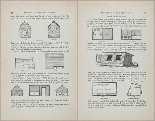 E400 - Practical Poultry Book - 1871 - 17100-17101