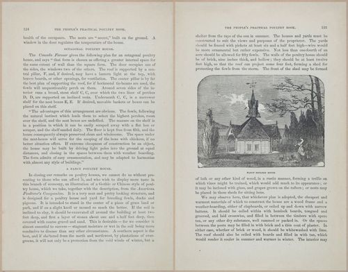 E400 - Practical Poultry Book - 1871 - 17110-17111