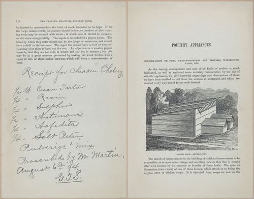 E400 - Practical Poultry Book - 1871 - 17112-17113