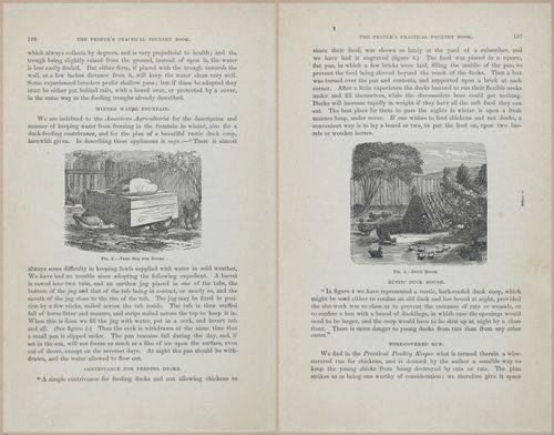 E400 - Practical Poultry Book - 1871 - 17122-17123