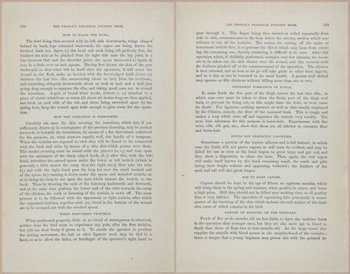 E400 - Practical Poultry Book - 1871 - 17128-17129