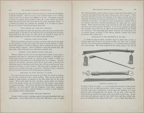 E400 - Practical Poultry Book - 1871 - 17130-17131