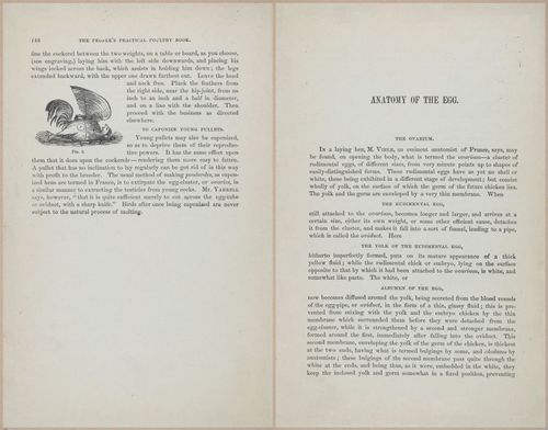E400 - Practical Poultry Book - 1871 - 17134-17135