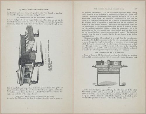 E400 - Practical Poultry Book - 1871 - 17142-17143