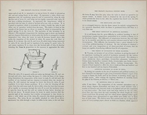E400 - Practical Poultry Book - 1871 - 17148-17149