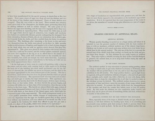 E400 - Practical Poultry Book - 1871 - 17150-17151