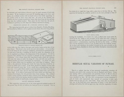 E400 - Practical Poultry Book - 1871 - 17152-17153