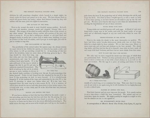 E400 - Practical Poultry Book - 1871 - 17158-17159