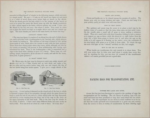 E400 - Practical Poultry Book - 1871 - 17160-17161