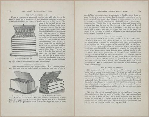 E400 - Practical Poultry Book - 1871 - 17164-17165