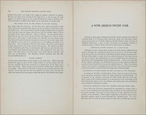 E400 - Practical Poultry Book - 1871 - 17172-17173